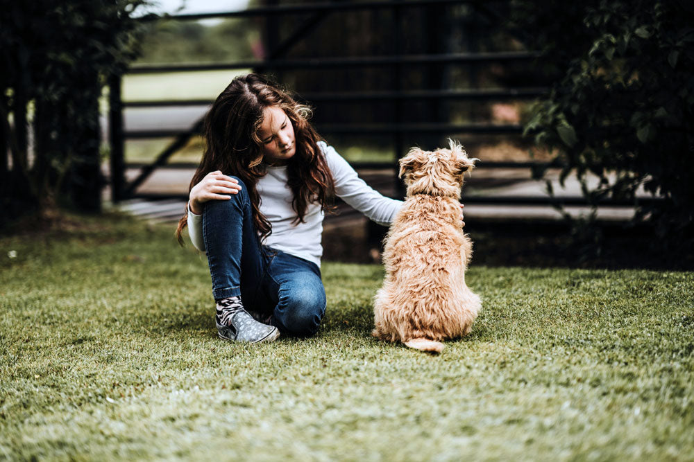 Helping  your pets to overcome the back-to-school blues